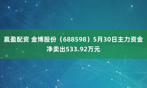 赢盈配资 金博股份（688598）5月30日主力资金净卖出533.92万元