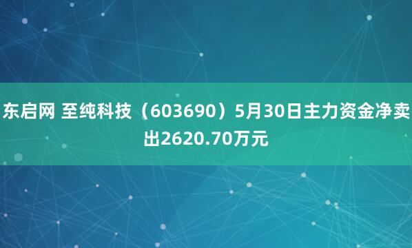 东启网 至纯科技（603690）5月30日主力资金净卖出2620.70万元