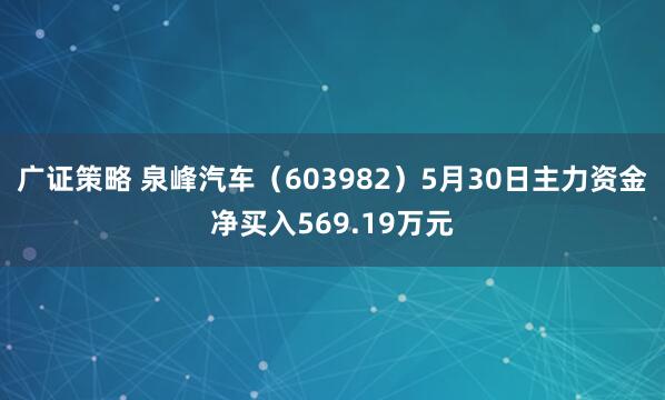 广证策略 泉峰汽车(603982)5月30日主力资金净买入569.19万元