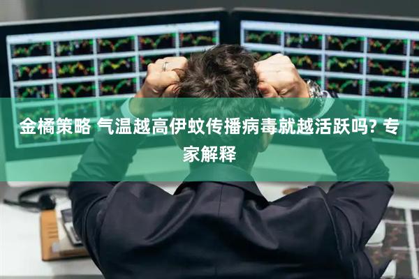 金橘策略 气温越高伊蚊传播病毒就越活跃吗? 专家解释