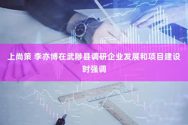 上尚策 李亦博在武陟县调研企业发展和项目建设时强调