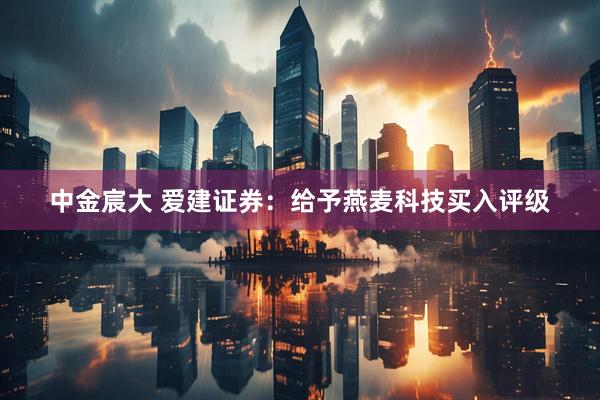 中金宸大 爱建证券：给予燕麦科技买入评级